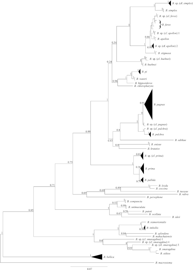 Fig. 3