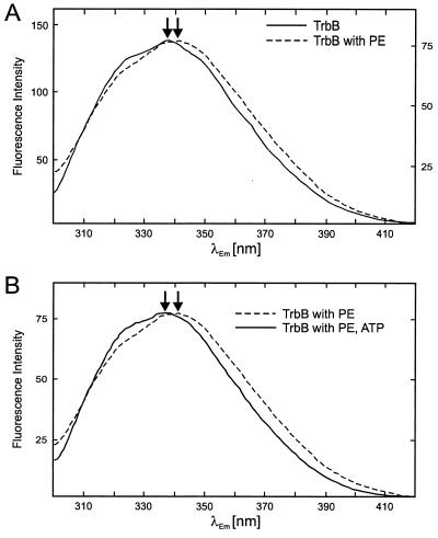 FIG. 6