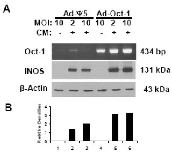 Figure 5