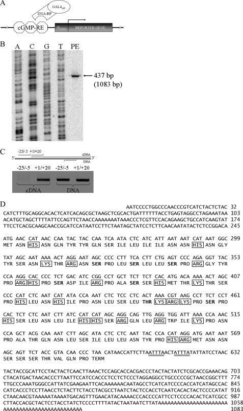 FIGURE 1.