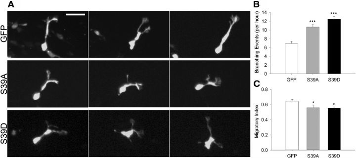 Figure 10.