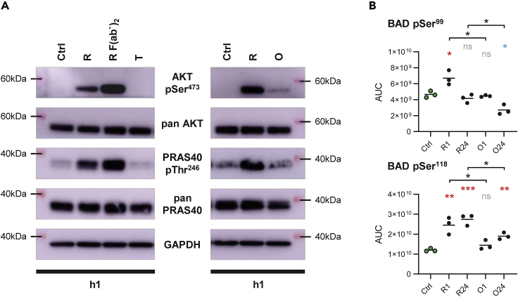 Figure 5