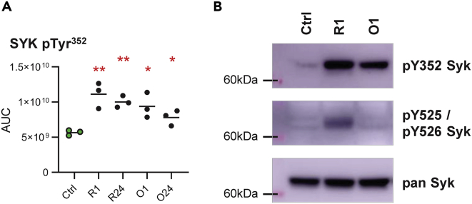 Figure 4