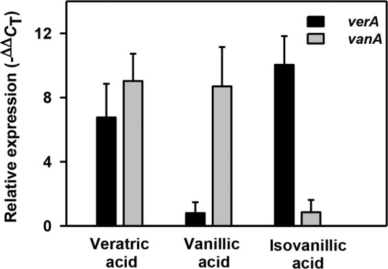 FIG 3