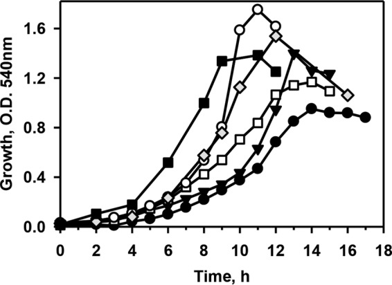 FIG 1