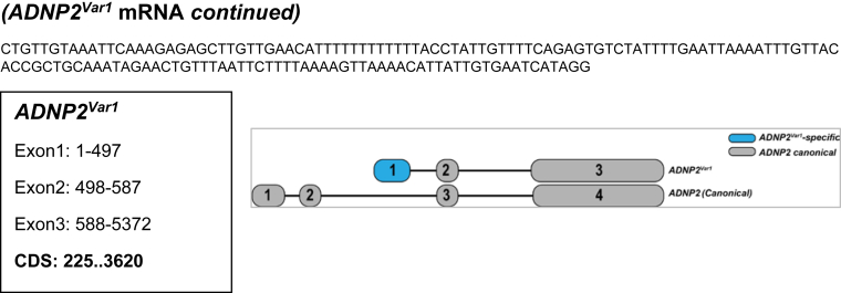 Supplementary Figure 1