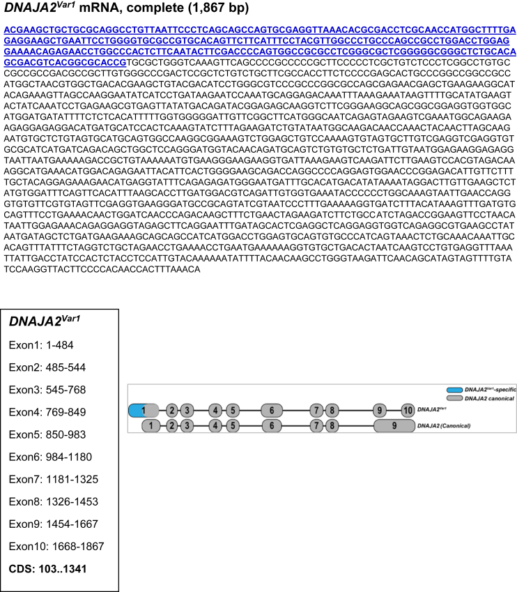 Supplementary Figure 1