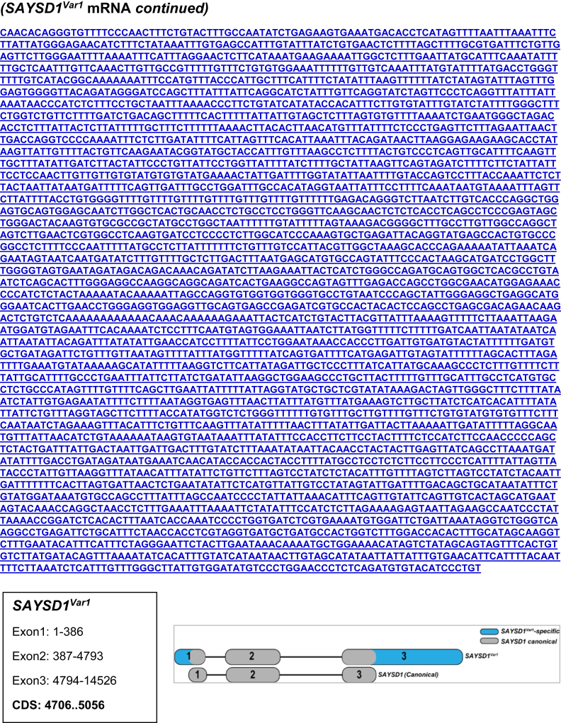 Supplementary Figure 1