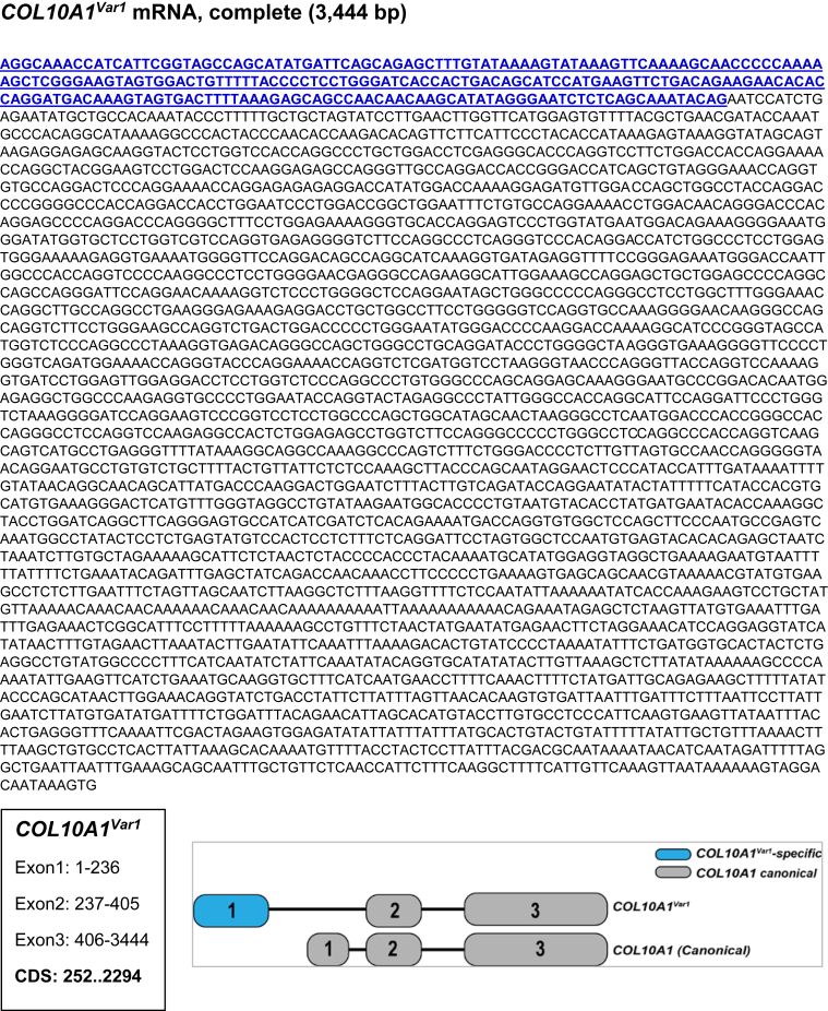 Supplementary Figure 1