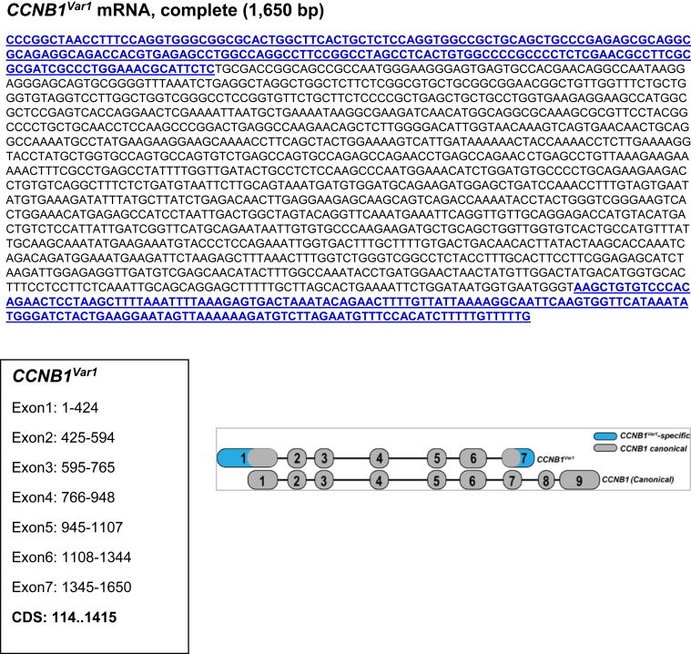 Supplementary Figure 1