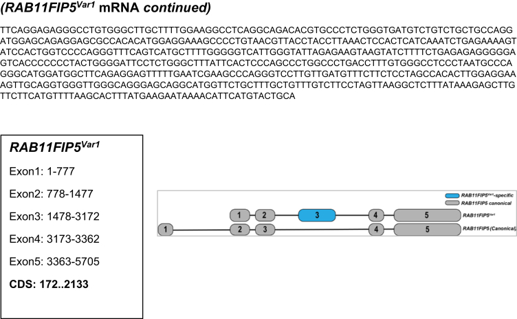 Supplementary Figure 1