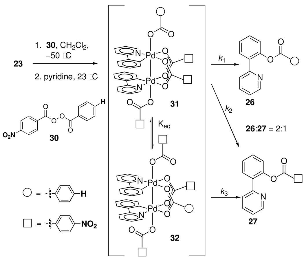 Scheme 5