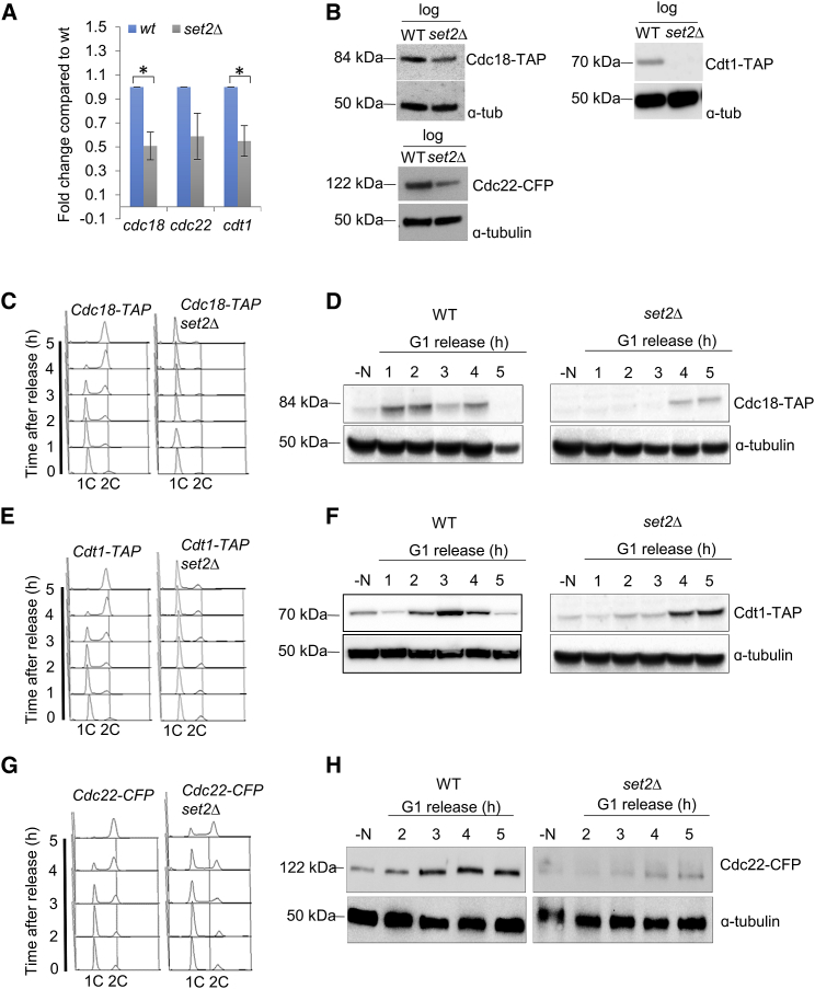 Figure 4