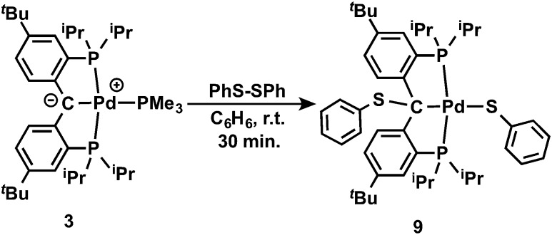 Scheme 3