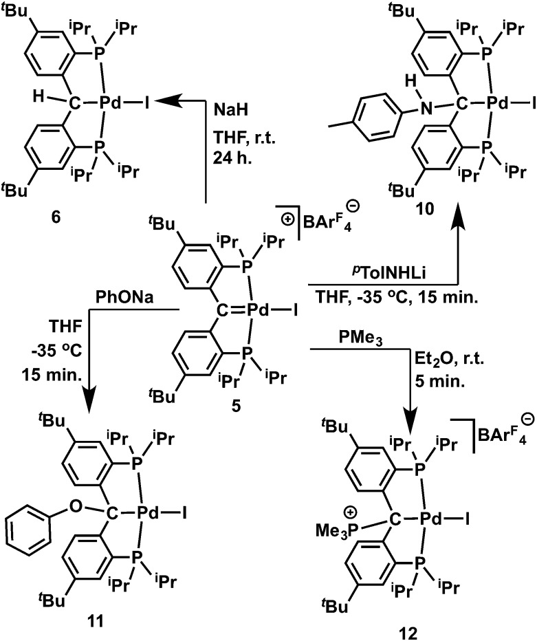 Scheme 4