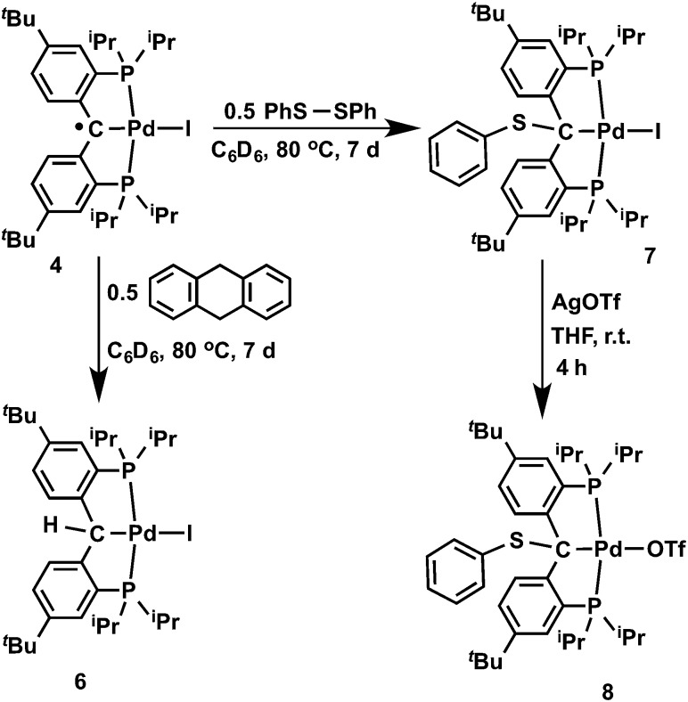 Scheme 2