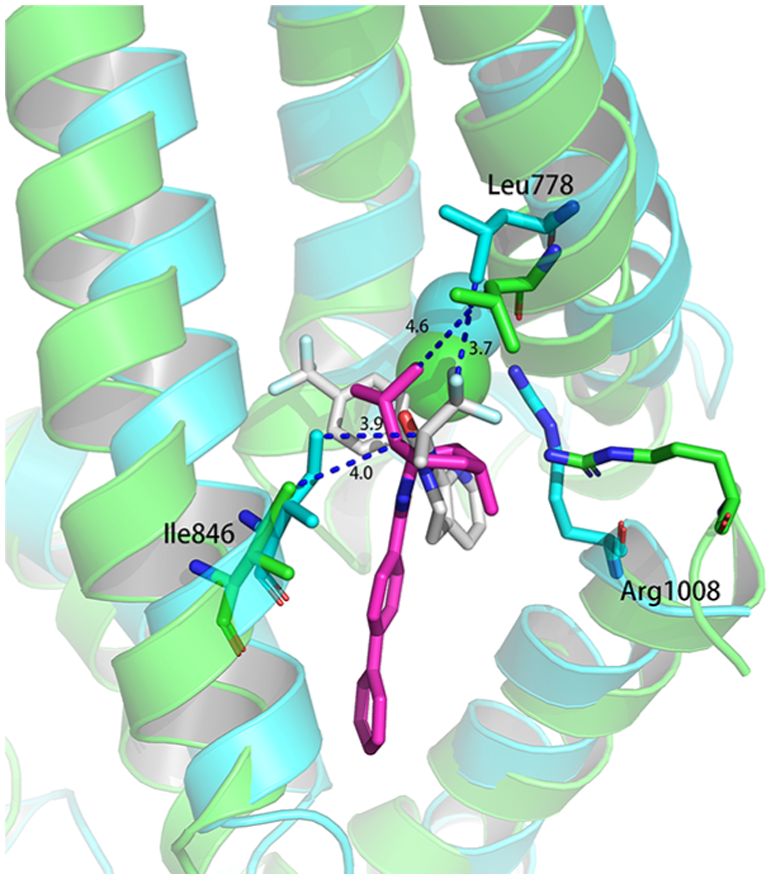 Figure 4.