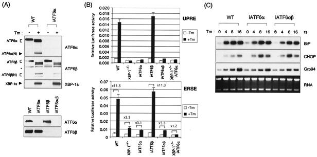 FIG. 4.