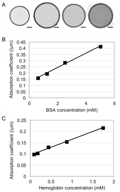 Fig.1