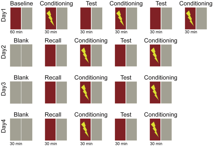 Figure 5