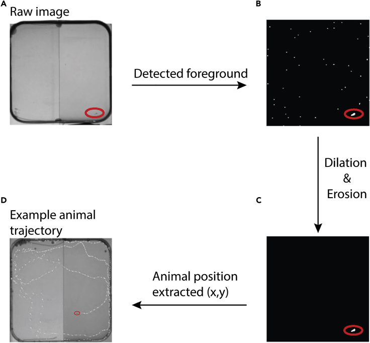 Figure 1