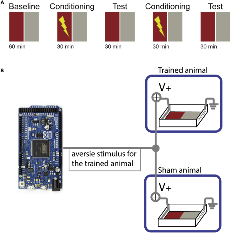 Figure 4