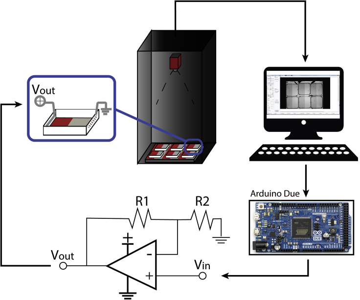 Figure 2