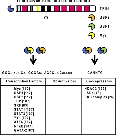 Fig. 2.