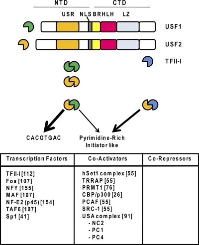 Fig. 1.