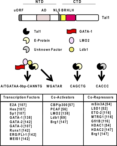 Fig. 3.