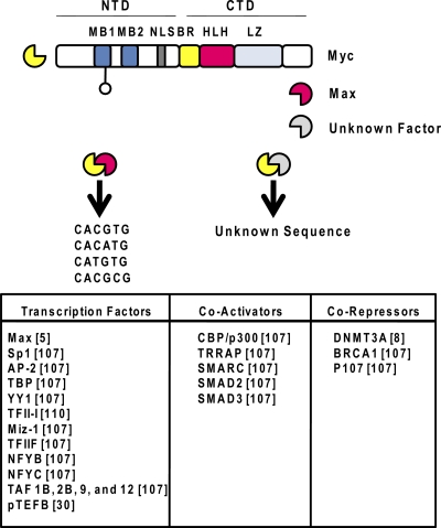 Fig. 4.