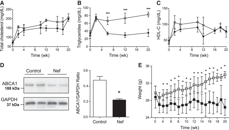 Figure 7.