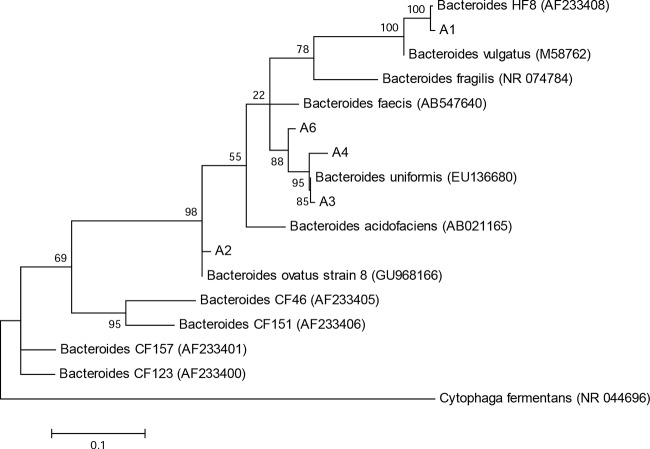 FIG 3