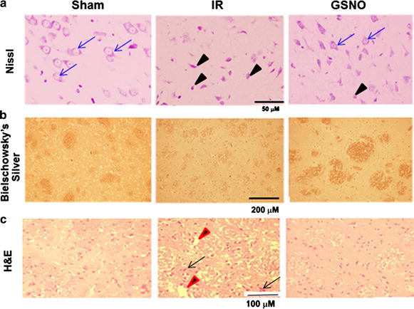 Figure 2