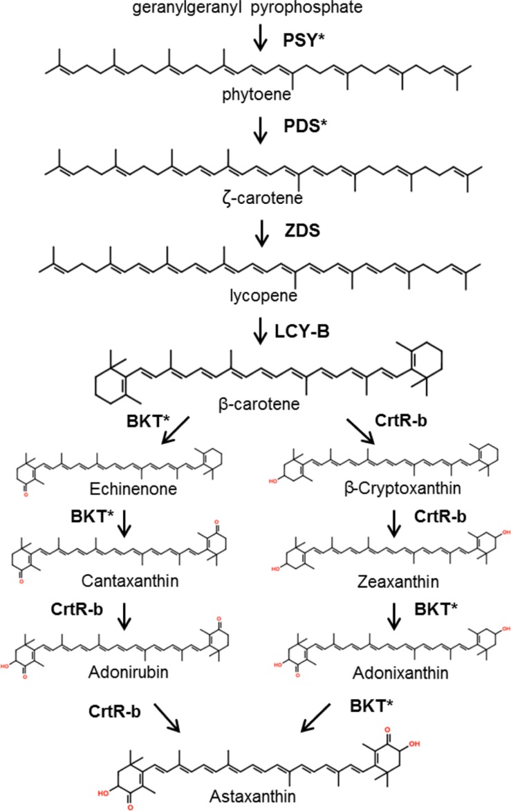 FIGURE 3