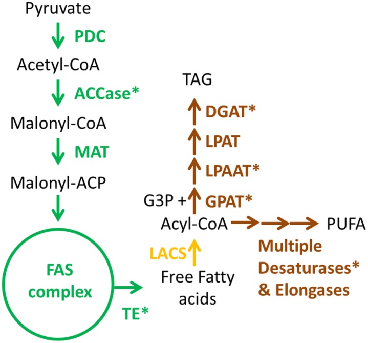 FIGURE 2