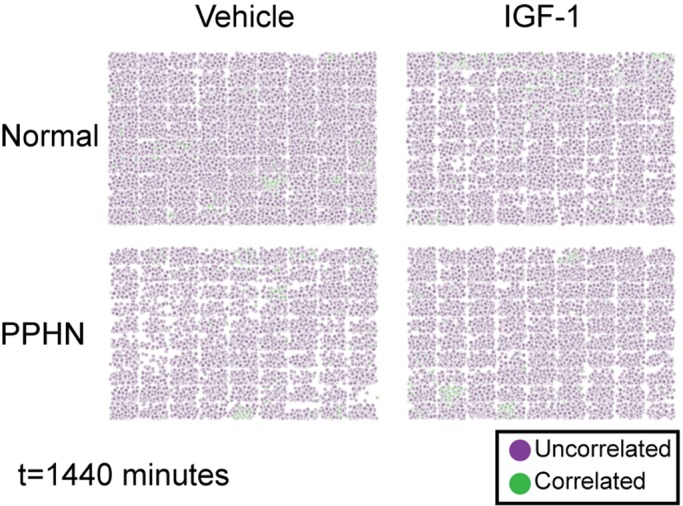 Fig. 8.