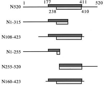 FIG. 6