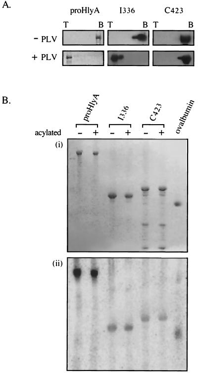 FIG. 5