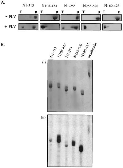 FIG. 7