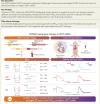 Structured Graphical Abstract