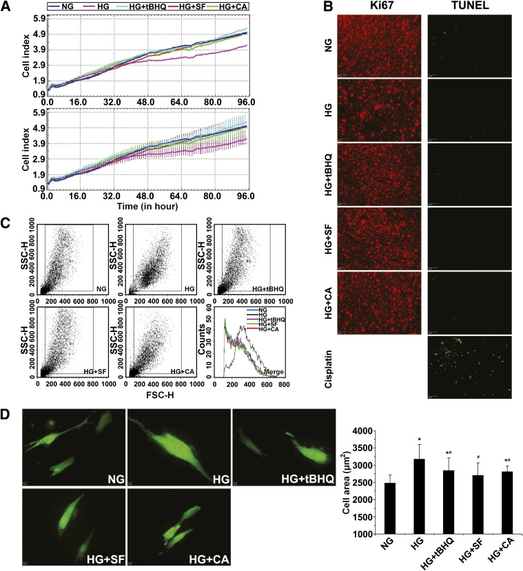 FIG. 6.