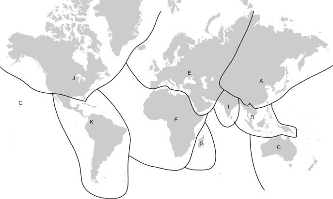 Fig. 2.