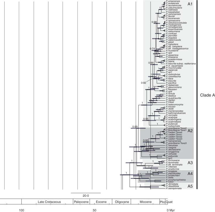 Fig. 4.