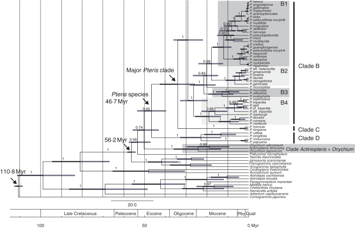 Fig. 4.