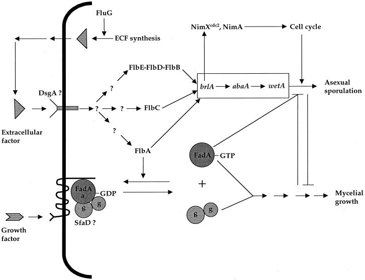 FIG. 19