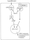 FIG. 17