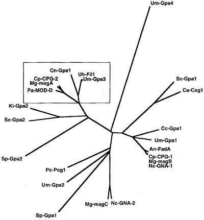 FIG. 14