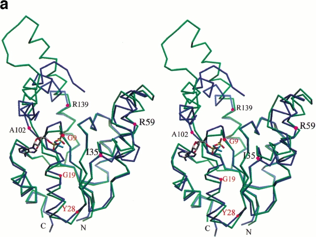 Fig. 5.