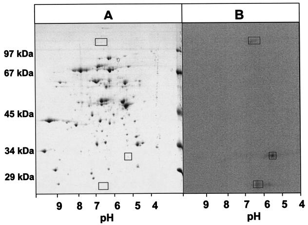 FIG. 5.